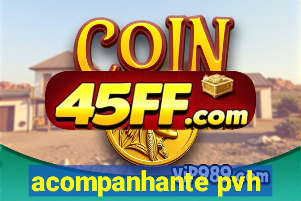 acompanhante pvh